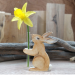 Haasje vaasje, geillustreerd